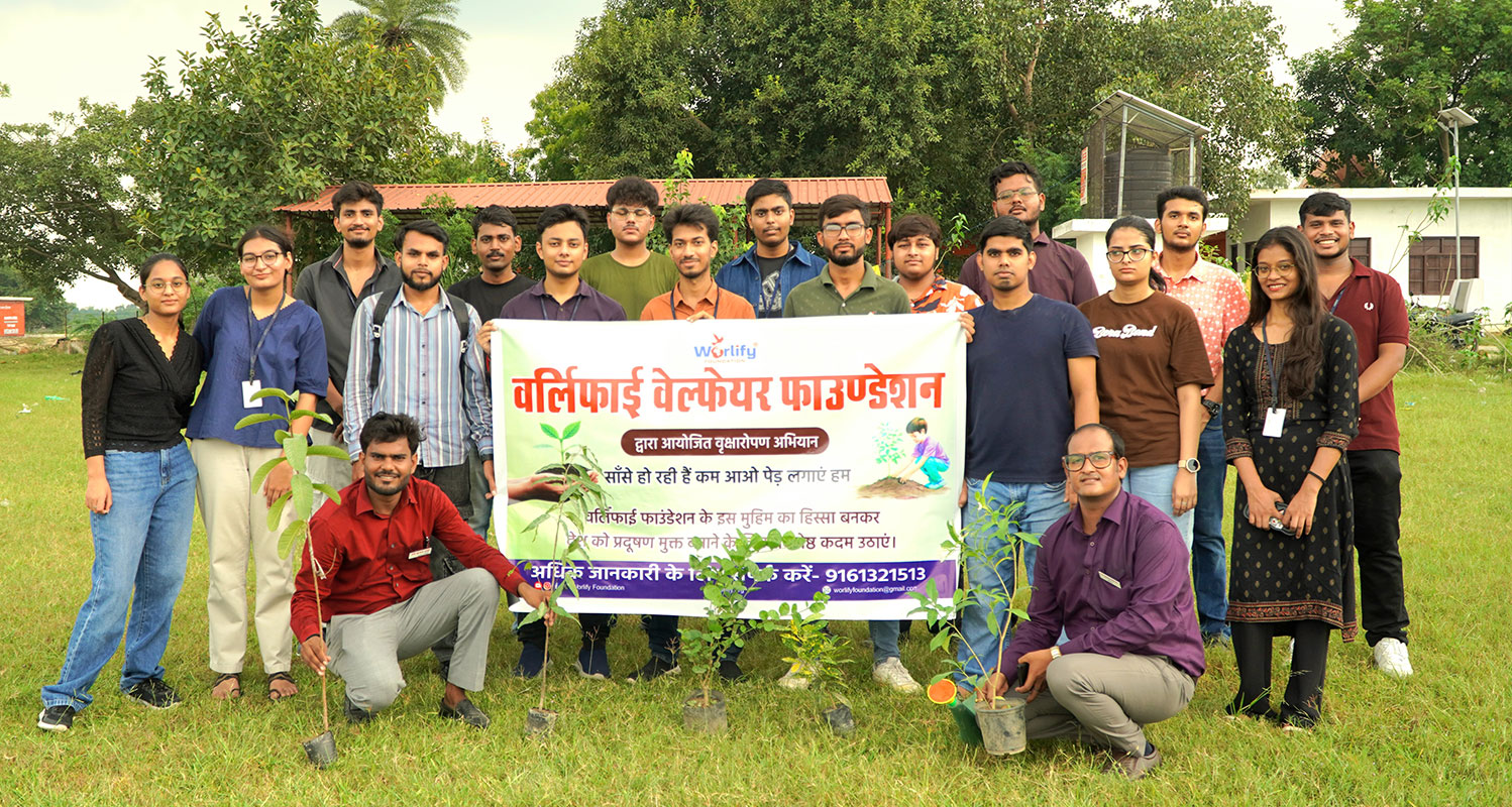 Tree Plantation